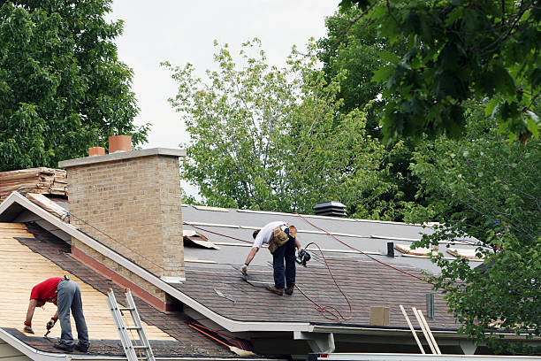 Quick and Trustworthy Emergency Roof Repair Services in Ely, NV